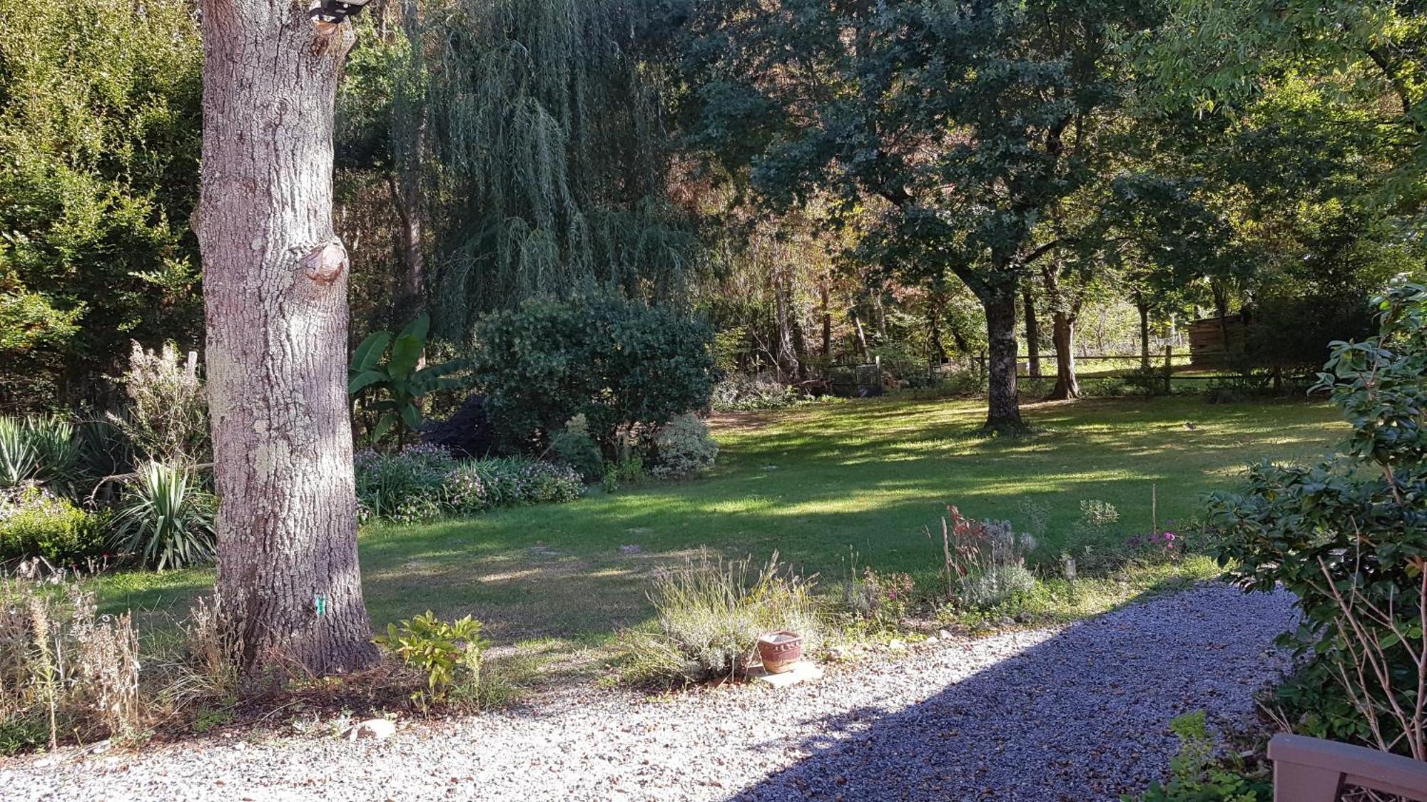 Bed and Breakfast Domaine De Sahil Saint-Romain-sur-Cher Exterior foto